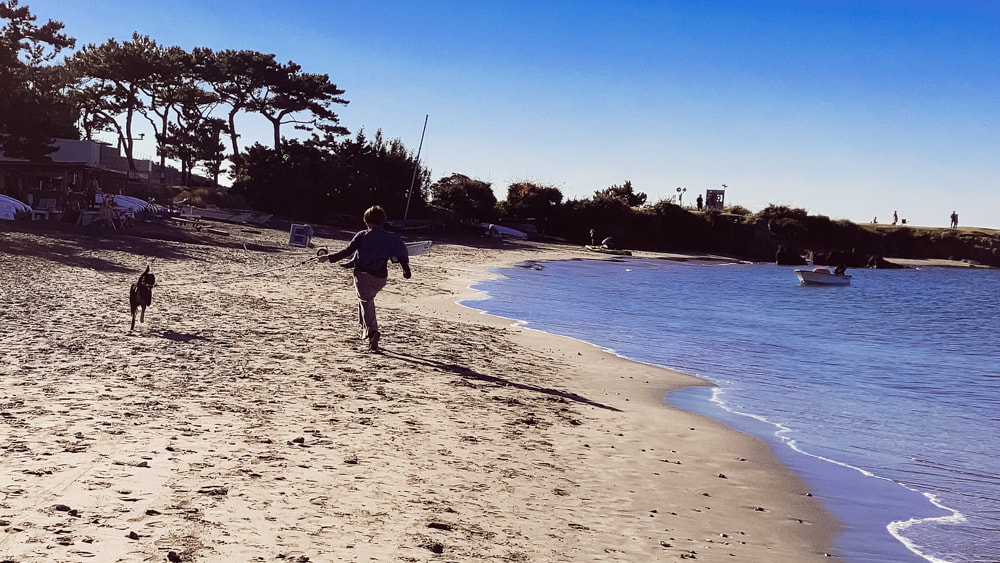 葉山一色海岸までぐるっと５キロの散歩コース