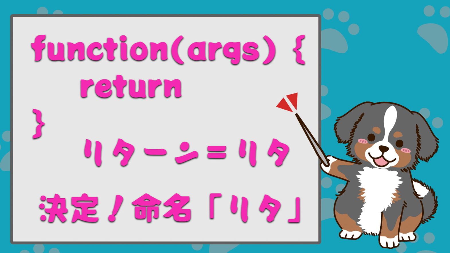 2022年10月25日　我が家に家族が増えました！