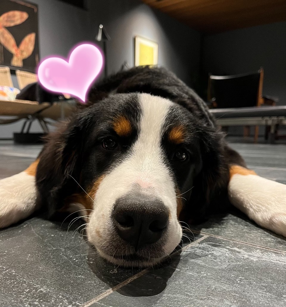 身体に合ったゴハン探しの旅、難航中