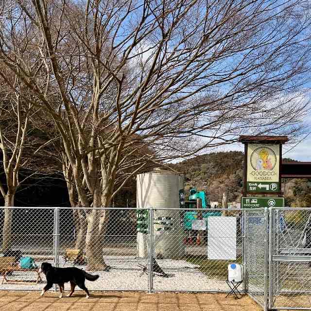 ドックランで遊んできました @葉山長柄