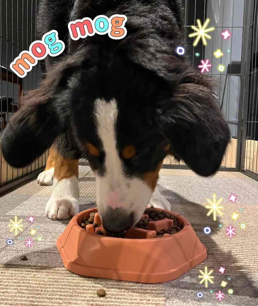 ゴハン探しの旅　一息つけそうです