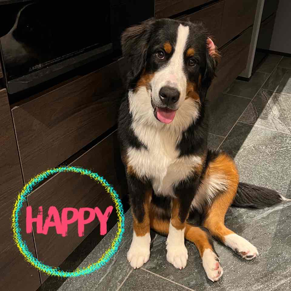 リタ姫　8ヶ月になりました