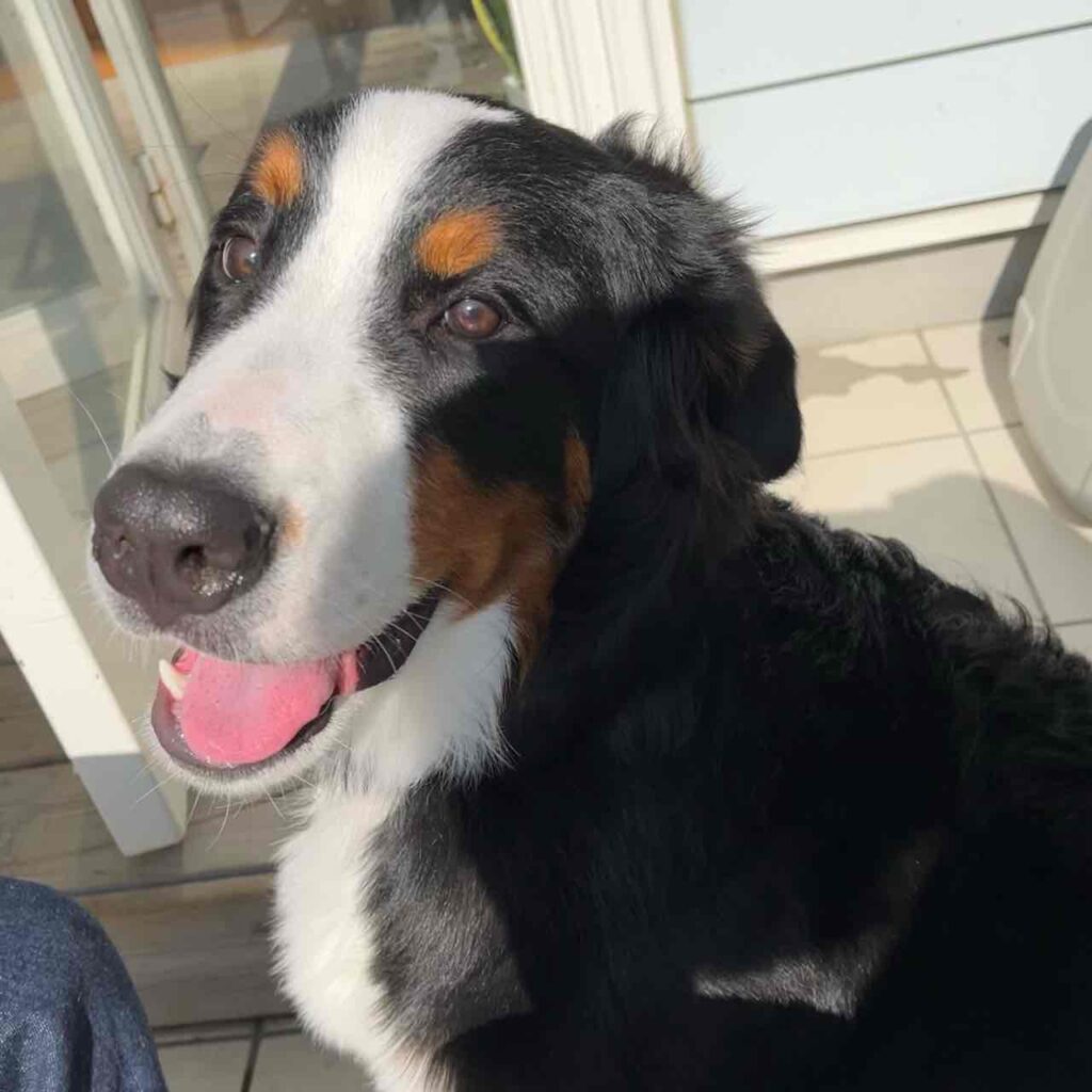 リタお腹がピーピー　決着編