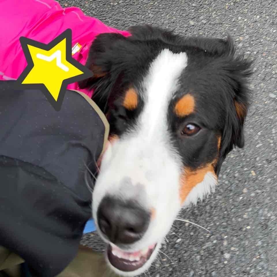 mont-bellにレインコート買いに行きました