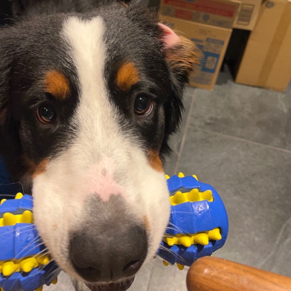 リタ10ヶ月になりました