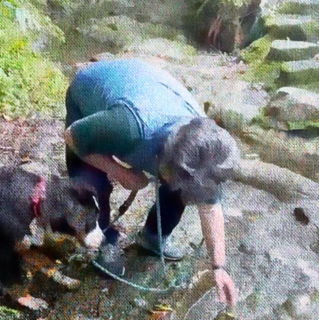 泳げ！バーニーズマウンテンドック