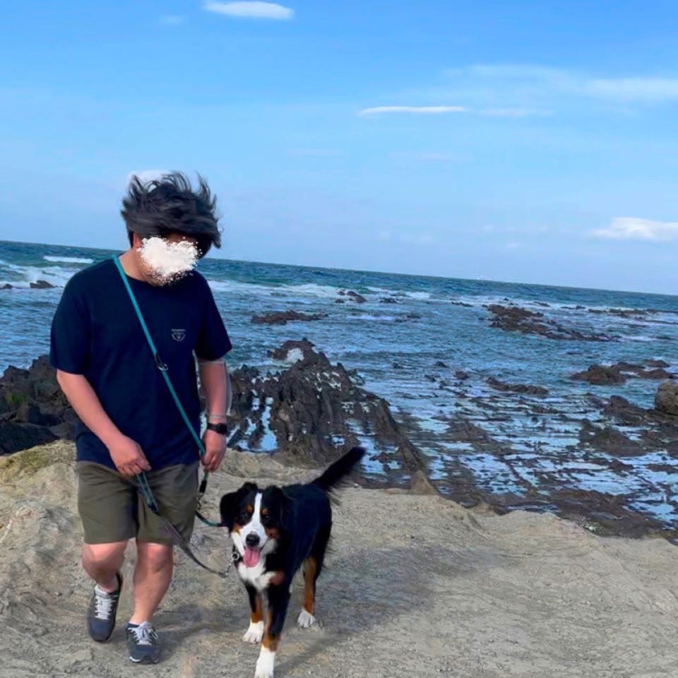 海までお散歩です