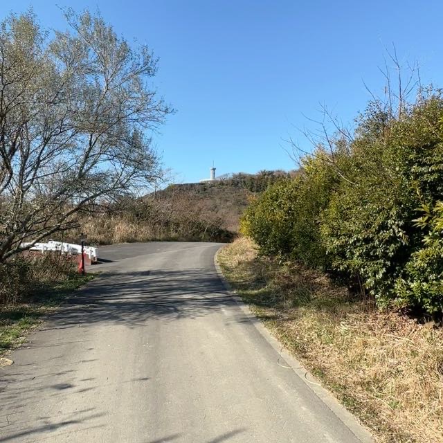 ダイエット始めました