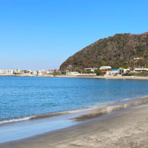 トラブル発生！オモチャを誤飲