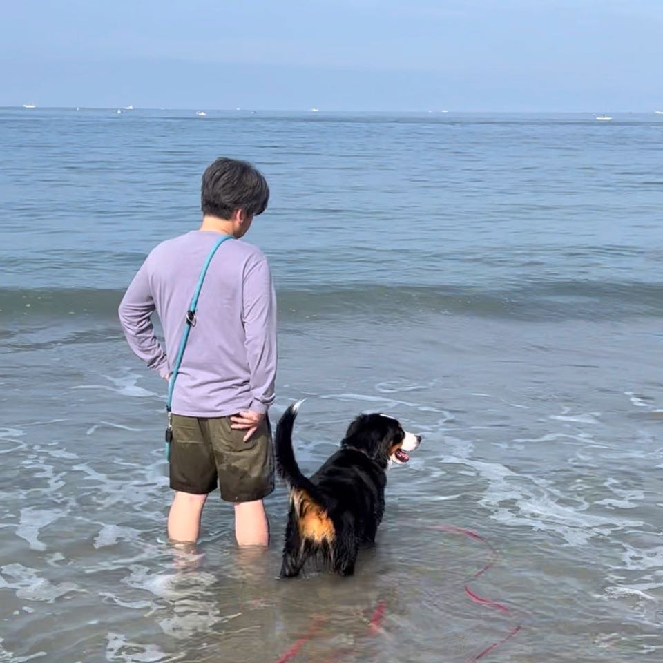 バーニーズ、海に入る！