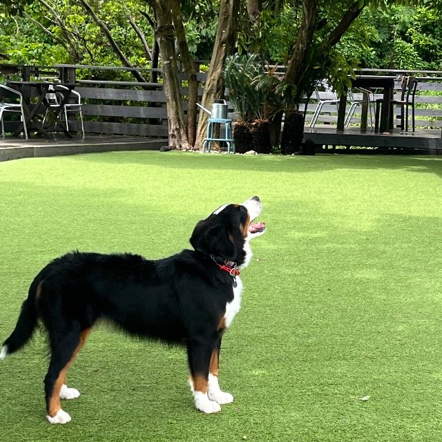 台風一過　暑くなりそう