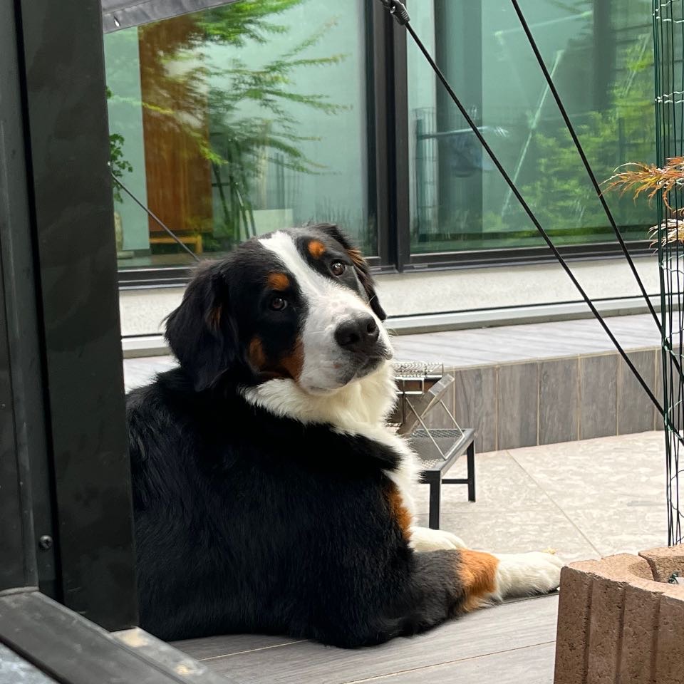 リタ、体調不良