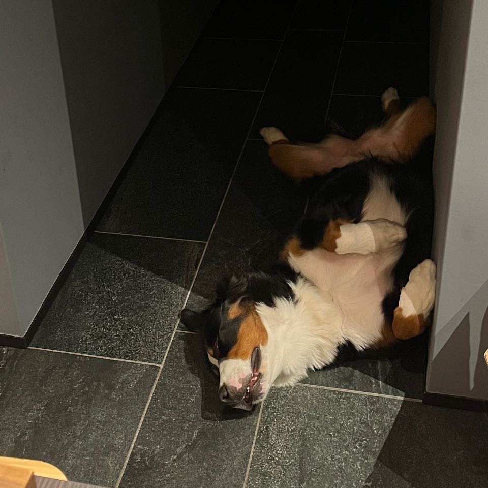 緊急速報！リタがブスだ