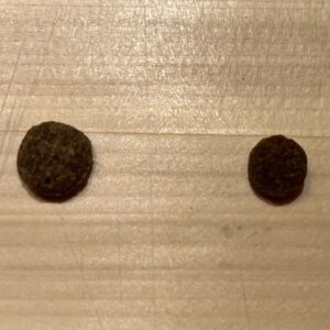 ドッグフードに違和感