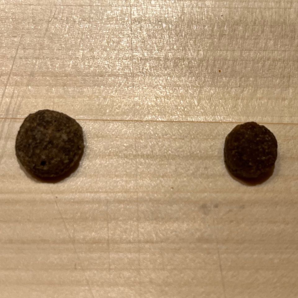 ドッグフードに違和感