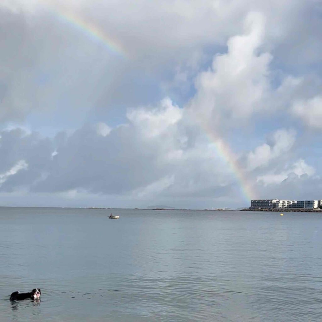空に大きな虹
