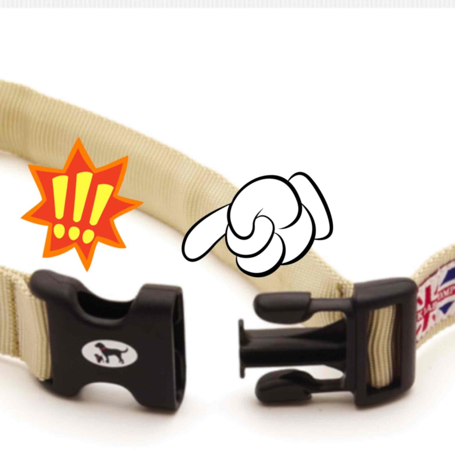 リードのバックルが飛んだ日