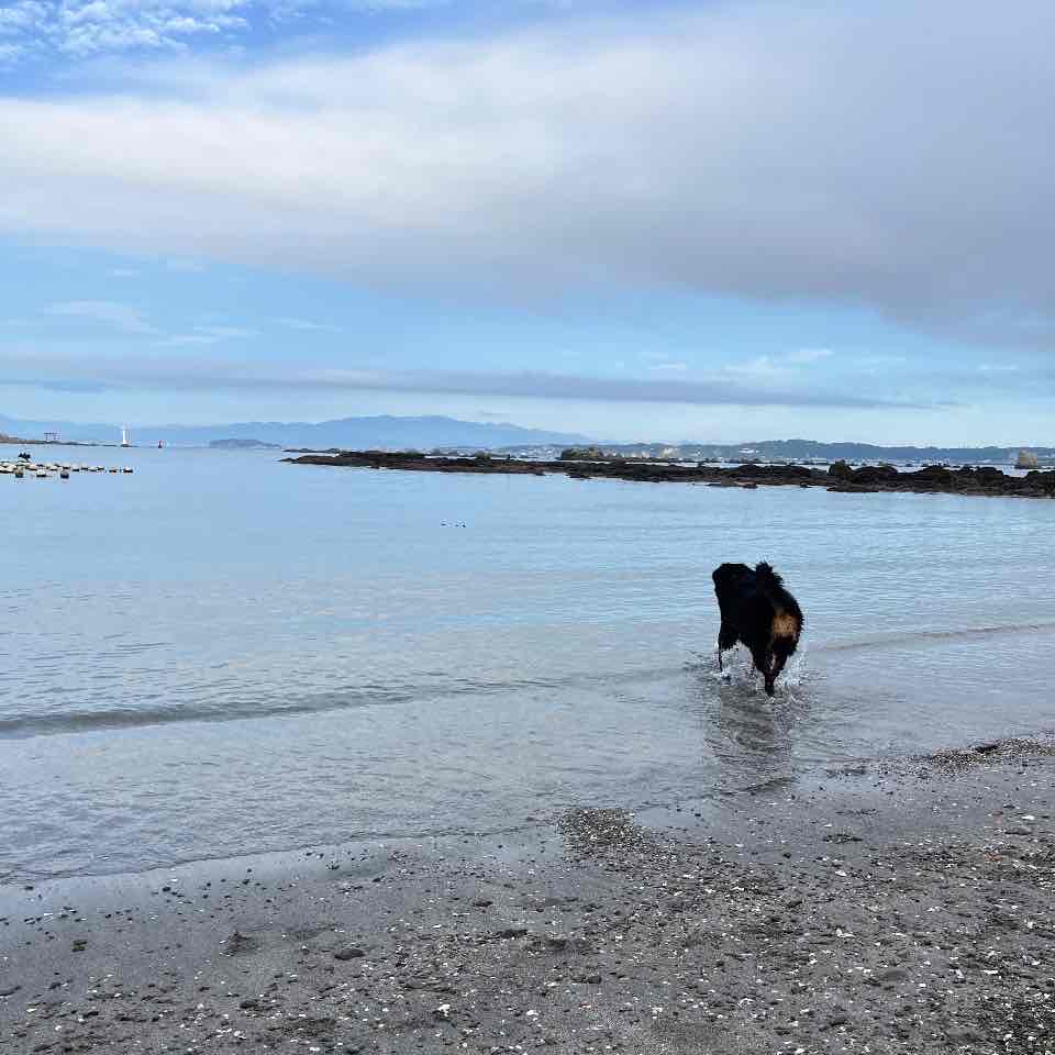 残暑お見舞い申し上げます