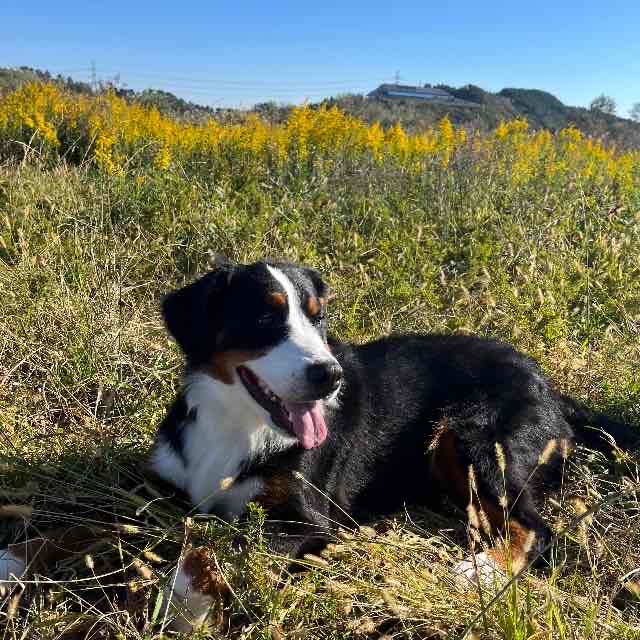 リメンバー23 暑さ寒さも彼岸まで？