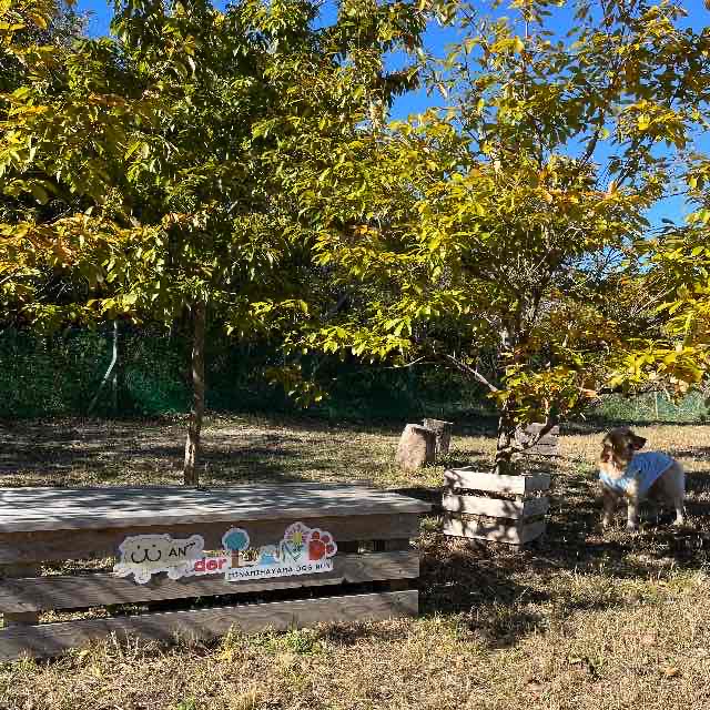 リメンバー23 運動の秋