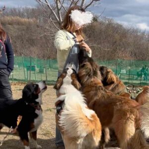 デカワンコまつり！