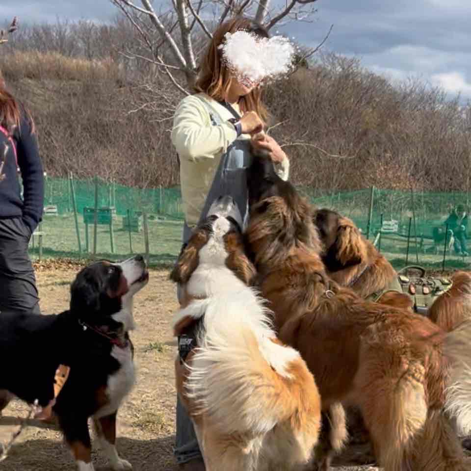 デカワンコまつり！