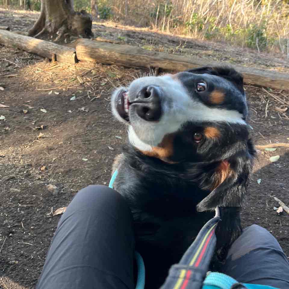 仙元山へハイキングに行きました