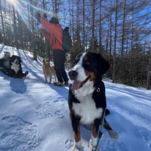 リタ、初めての雪遊び旅