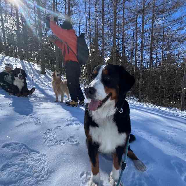リタ、初めての雪遊び旅