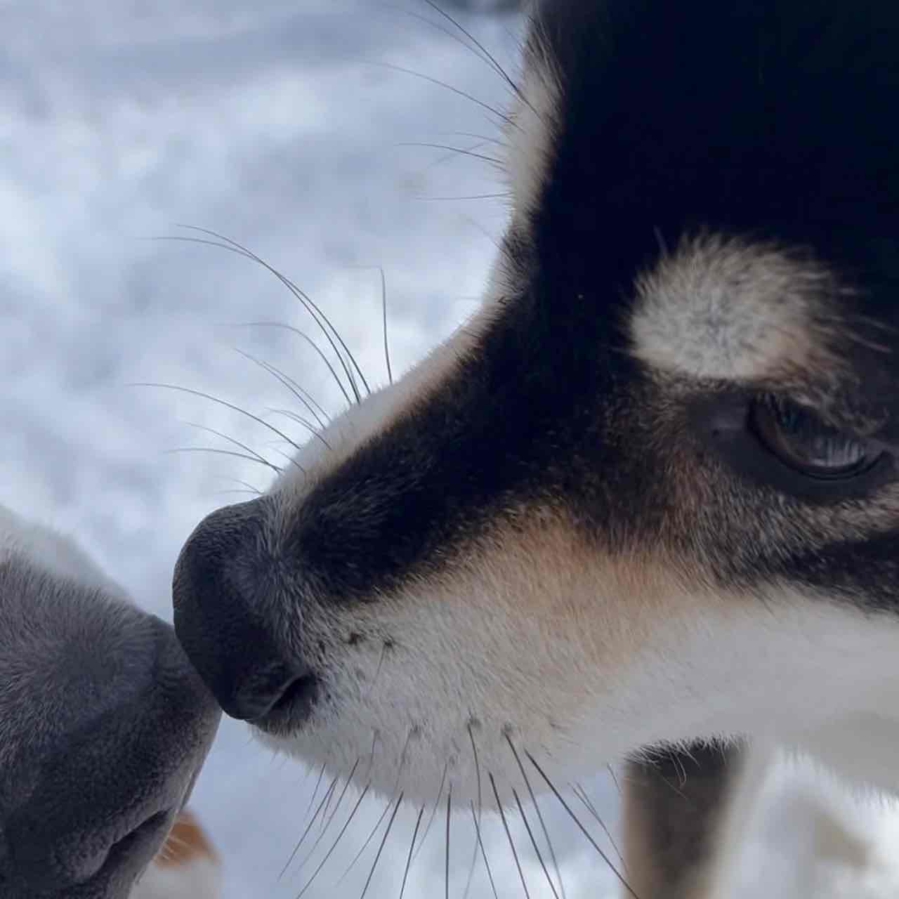 リタ初めての雪遊び旅 2