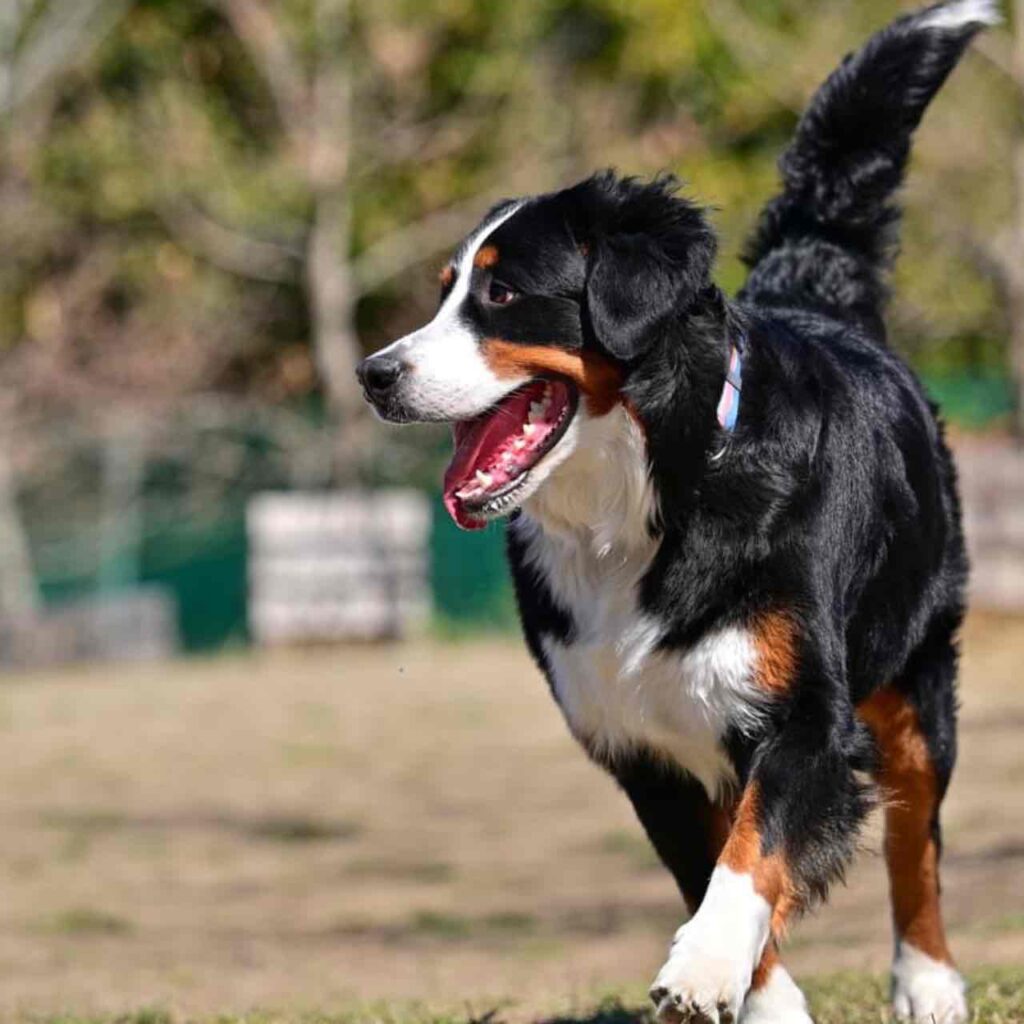 リタ、スナップショットを撮る