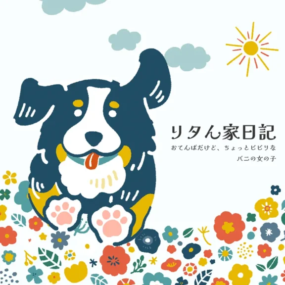 心機一転、オリジナルテーマでサイトリニューアルしました！