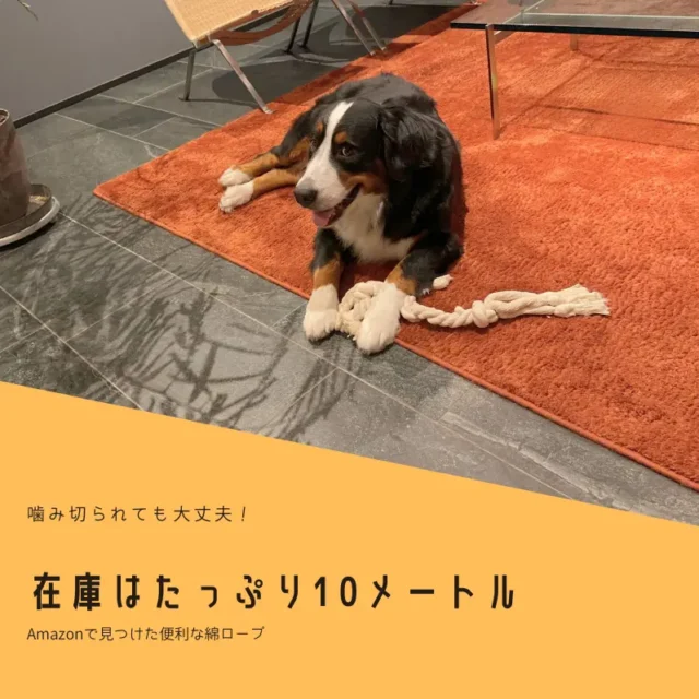 噛み切られても大丈夫！在庫はたっぷり10m、便利な綿ロープ