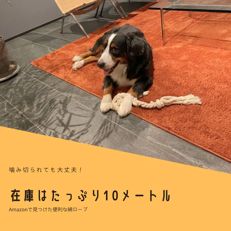 噛み切られても大丈夫！在庫はたっぷり10m、便利な綿ロープ